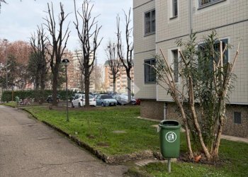 Trilocale Via Francesco Antonio Muttoni, Milano (zona Gallaratese) - foto 4