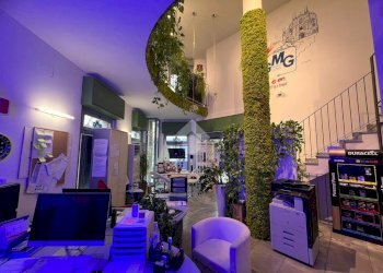 Negozio Via Vilfredo Pareto, Milano - foto 2