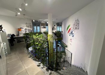 Negozio Via Vilfredo Pareto, Milano - foto 13
