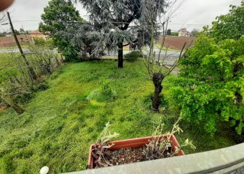 Foto 7 - Casa indipendente Alessandria - foto 7