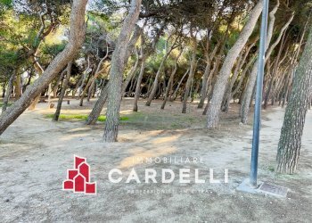 Foto 21 - Quadrilocale Via  Trieste
 
241, Porto Sant'Elpidio - foto 21