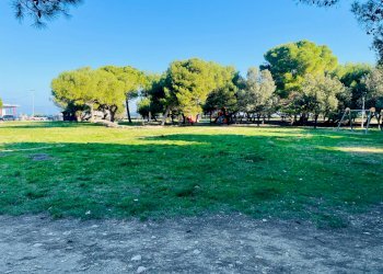 Foto 17 - Quadrilocale Via  Trieste
 
241, Porto Sant'Elpidio - foto 17