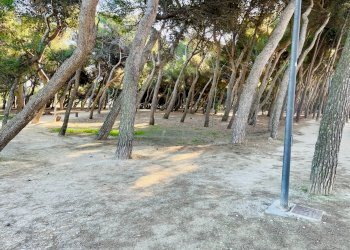 Foto 21 - Quadrilocale Via  Trieste
 
241, Porto Sant'Elpidio - foto 21