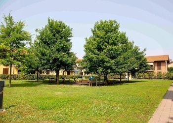 Foto 17 - Trilocale Via Don Sironi
 
1, Robecco sul Naviglio - foto 17