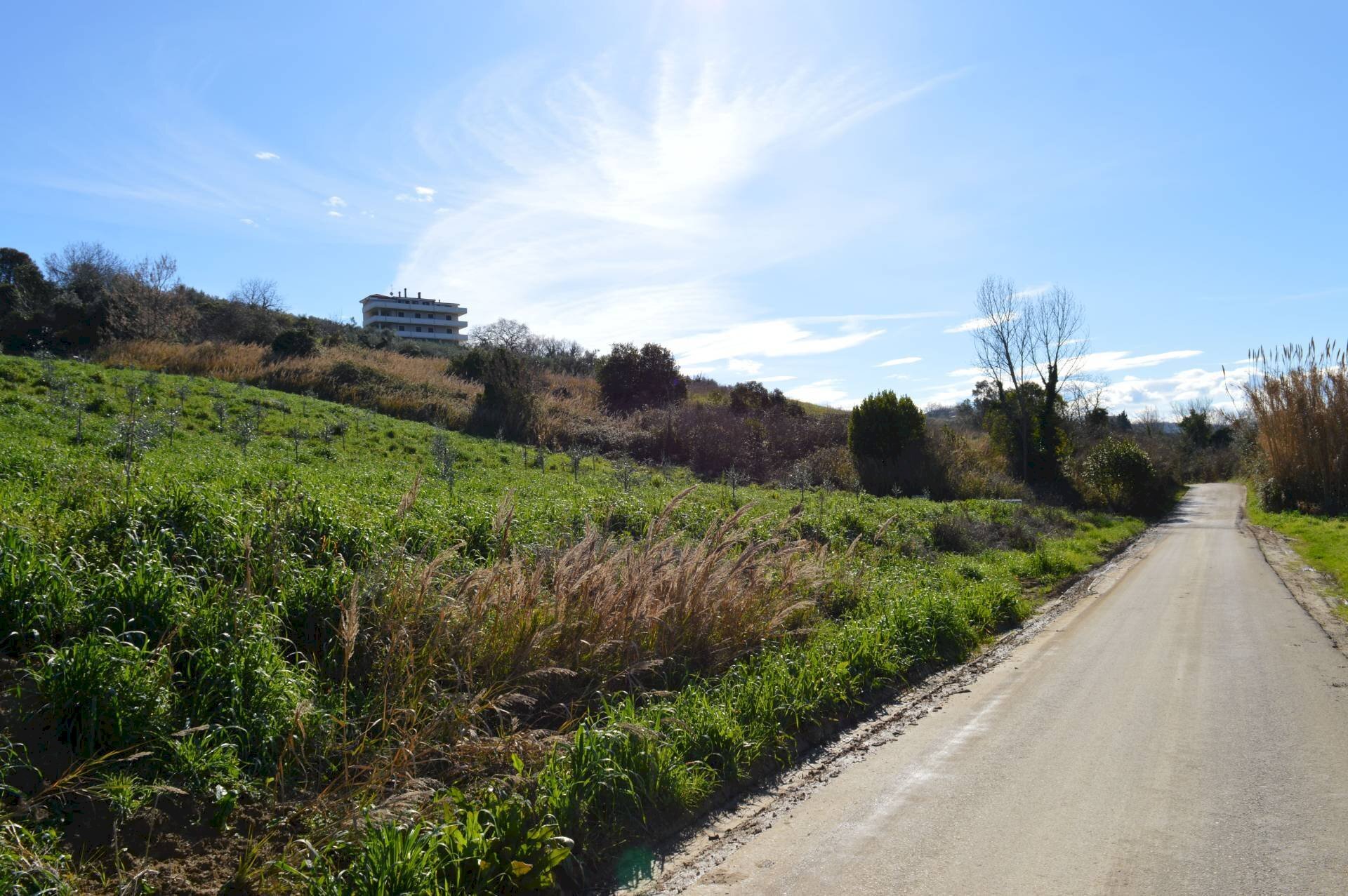 Foto 1 - Terreno agricolo LOCALITA' FONTE GRUGNALE, Vasto - foto 1