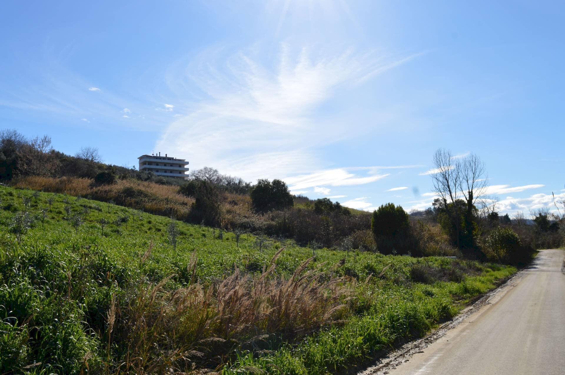 Foto 2 - Terreno agricolo LOCALITA' FONTE GRUGNALE, Vasto - foto 2