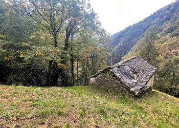 Giardino - Baita Valle Cannobina - foto 11