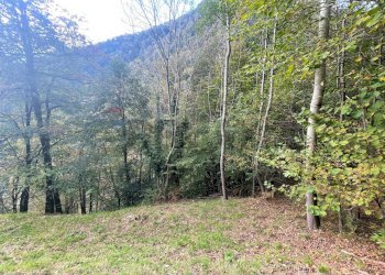 Vista delle montagne - Baita Valle Cannobina - foto 14