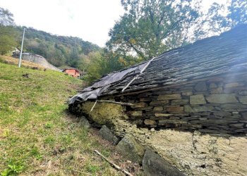 Giardino - Baita Valle Cannobina - foto 15