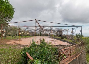 Giardino - Villa Via Dietro Serra
61, Viagrande - foto 12