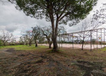 Giardino - Villa Via Dietro Serra
61, Viagrande - foto 14