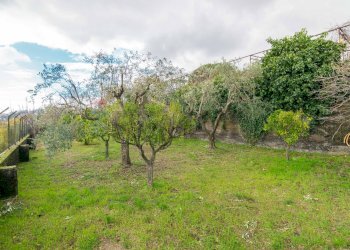 Giardino - Villa Via Dietro Serra
61, Viagrande - foto 15