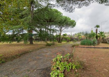 Giardino - Villa Via Dietro Serra
61, Viagrande - foto 18