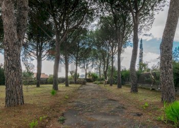 Giardino - Villa Via Dietro Serra
61, Viagrande - foto 36