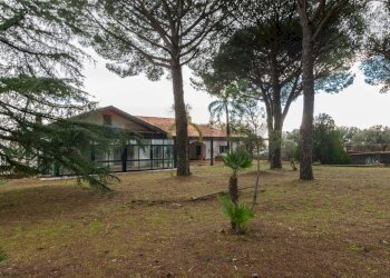 Giardino - Villa Via Dietro Serra
61, Viagrande - foto 37