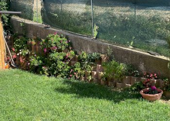 Giardino - Trilocale VIA DEI GLADIOLI
 
11, Recanati - foto 8