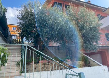 Balcone - Trilocale VIA DEI GLADIOLI
 
11, Recanati - foto 12
