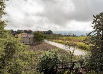 Giardino - Casa semi indipendente via fondiglie
 
56, Rosora - foto 26