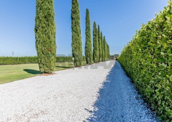 Vista dell\'acqua - Agriturismo STRADA PROVINCIALE RIMININO KM 4, 200
 
108, Canino - foto 3