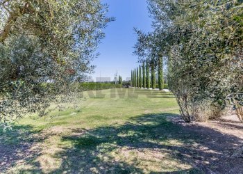 Giardino - Agriturismo STRADA PROVINCIALE RIMININO KM 4, 200
 
108, Canino - foto 4