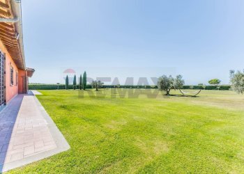 Giardino - Agriturismo STRADA PROVINCIALE RIMININO KM 4, 200
 
108, Canino - foto 7