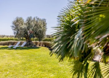 Giardino - Villa STRADA PROVINCIALE RIMININO KM 4, 200
 
108, Canino - foto 21