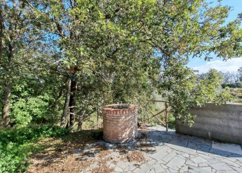 Giardino - Terreno agricolo Strada Regionale Maraneve-Contrada Borriglione, Linguaglossa - foto 4