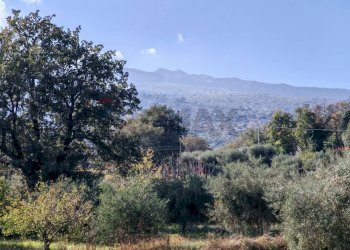 Vista delle montagne - Terreno agricolo Strada Regionale Maraneve-Contrada Borriglione, Linguaglossa - foto 7