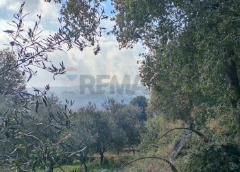 Vista delle montagne - Terreno agricolo Strada Regionale Maraneve-Contrada Borriglione, Linguaglossa - foto 11