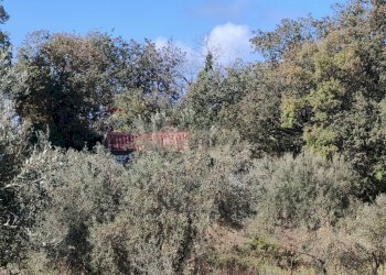 Non correlato - Terreno agricolo Strada Regionale Maraneve-Contrada Borriglione, Linguaglossa - foto 13