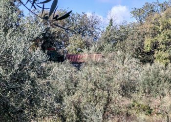 Non correlato - Terreno agricolo Strada Regionale Maraneve-Contrada Borriglione, Linguaglossa - foto 14