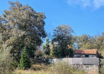 Giardino - Terreno agricolo Strada Regionale Maraneve-Contrada Borriglione, Linguaglossa - foto 17