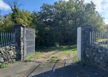 Giardino - Terreno agricolo Strada Regionale Maraneve-Contrada Borriglione, Linguaglossa - foto 21