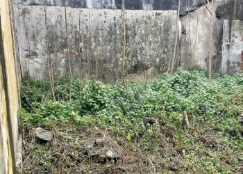 Giardino - Independent house Via Nuova
 
8, Santa Venerina - photo 9