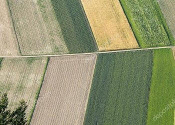 Foto 3 - Terreno agricolo VIA DEL PONTE, Truccazzano - foto 3