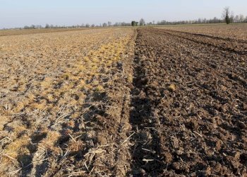 Foto 4 - Terreno agricolo VIA DEL PONTE, Truccazzano - foto 4