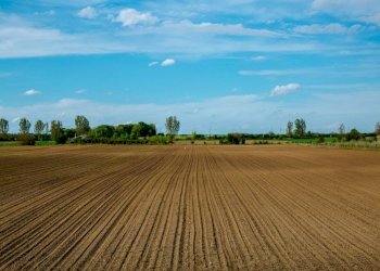 Foto 3 - Terreno agricolo VIA DEL MAGLIO, Truccazzano - foto 3