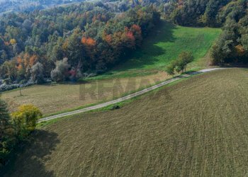 Giardino - Terreno agricolo via case belli, Felino - foto 7