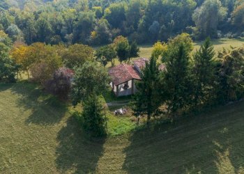 Giardino - Terreno agricolo via case belli, Felino - foto 8