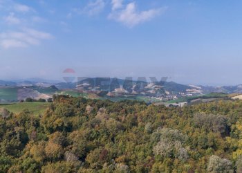 Vista delle montagne - Terreno agricolo via case belli, Felino - foto 10