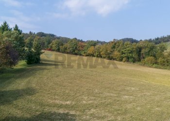 Giardino - Terreno agricolo via case belli, Felino - foto 15