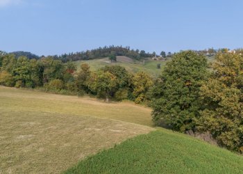 Giardino - Terreno agricolo via case belli, Felino - foto 16
