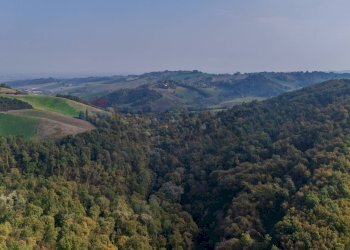 Vista delle montagne - Terreno agricolo via case belli, Felino - foto 17