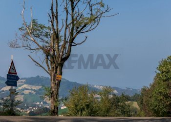 Vista delle montagne - Terreno agricolo via case belli, Felino - foto 21