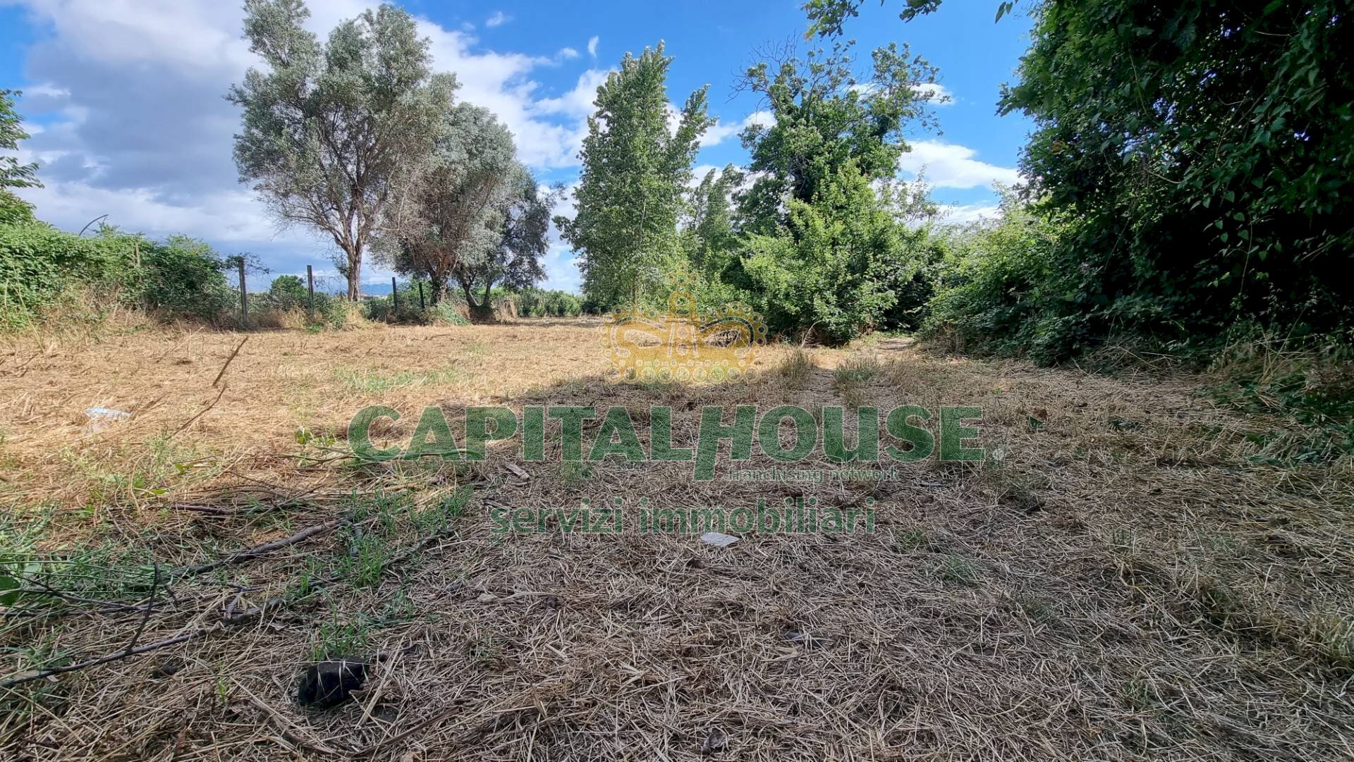 Foto 1 - Terreno agricolo Recale - foto 1