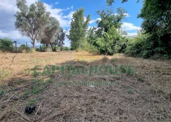 Foto 1 - Terreno agricolo Recale - foto 1