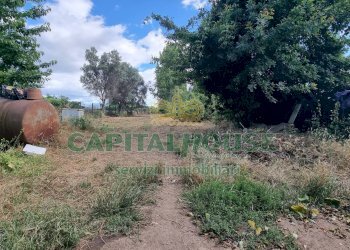 Foto 3 - Terreno agricolo Recale - foto 3