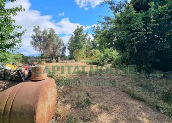 Foto 5 - Terreno agricolo Recale - foto 5