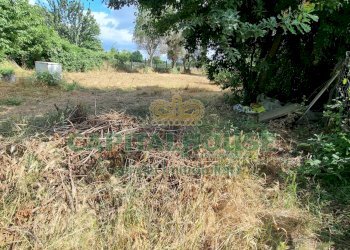 Foto 6 - Terreno agricolo Recale - foto 6