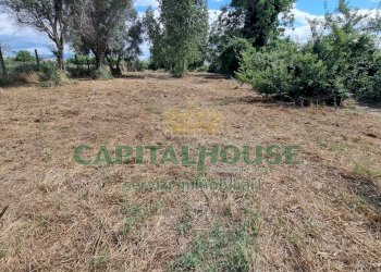 Foto 7 - Terreno agricolo Recale - foto 7